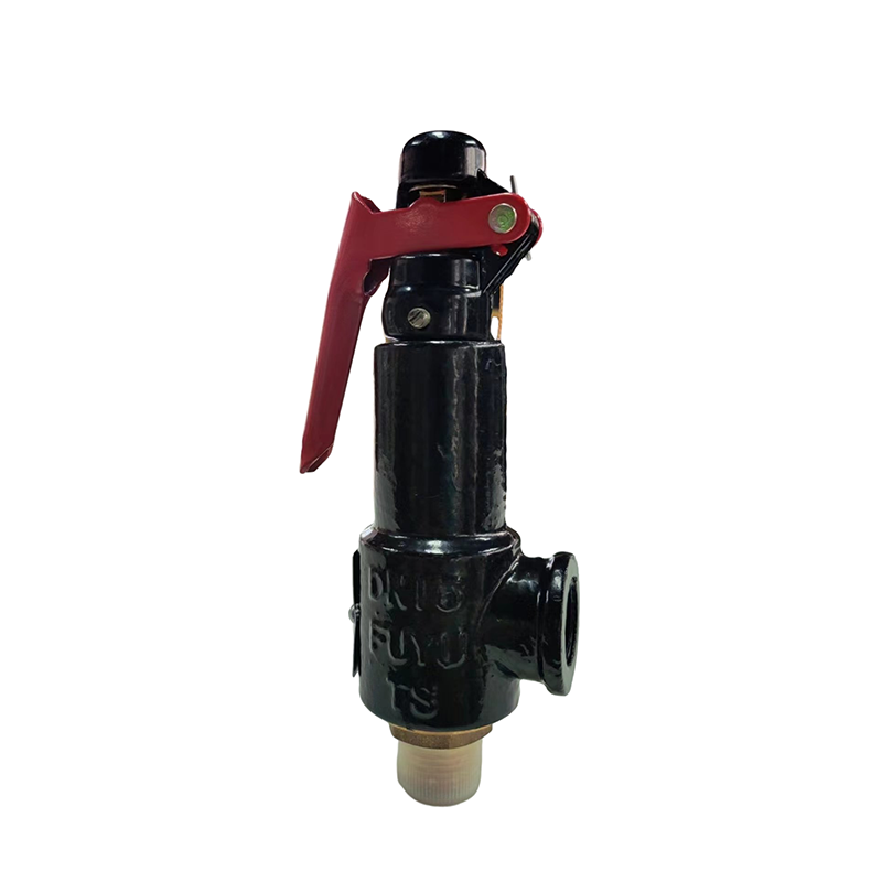 Spring Type Safety Valve (A21W-16P) Stainless Steel Valve