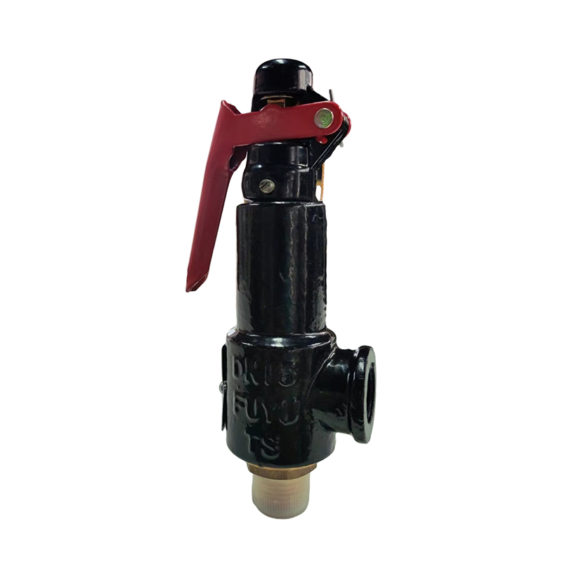 Spring Type Safety Valve (A28H-16) Stainless Steel Valve