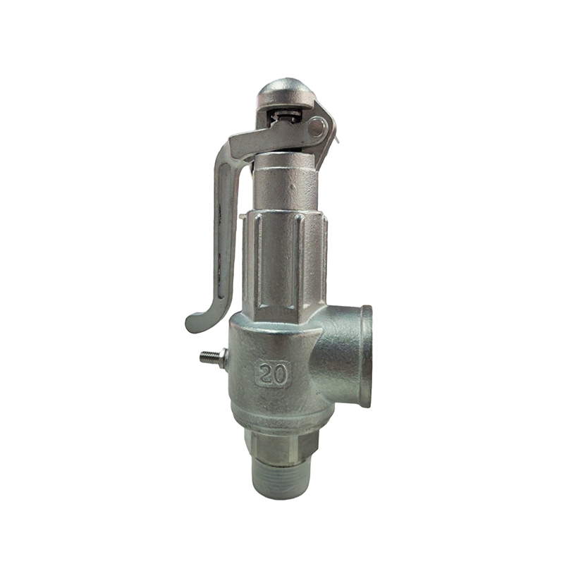 Spring Type Safety Valve (A21W-16P) Stainless Steel Valve