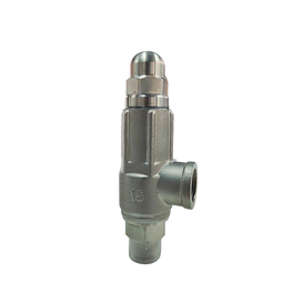 Spring Type Safety Valve (A21W-16P) Stainless Steel Valve